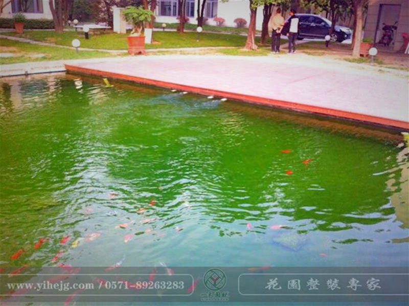 假山錦鯉魚(yú)池